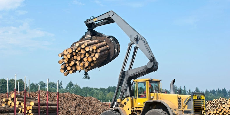 Lumber prices could see massive 40% drop after setting record highs